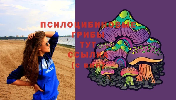 spice Гусь-Хрустальный