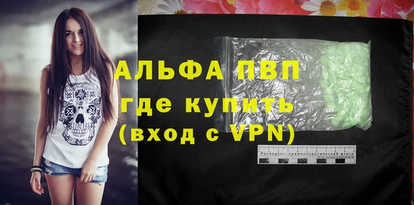 PSILOCYBIN Гусиноозёрск