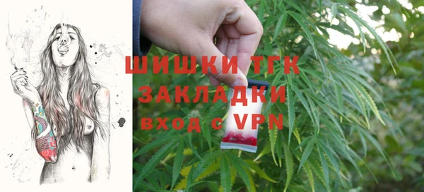 СК Гусев