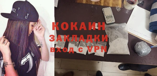 PSILOCYBIN Гусиноозёрск