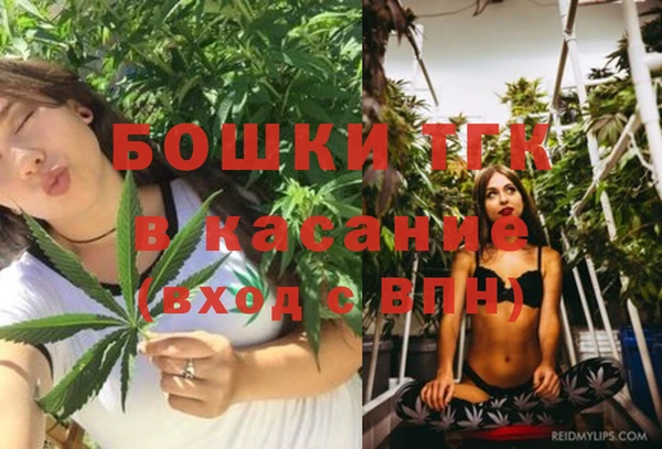 PSILOCYBIN Гусиноозёрск