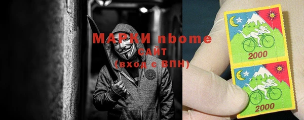 PSILOCYBIN Гусиноозёрск