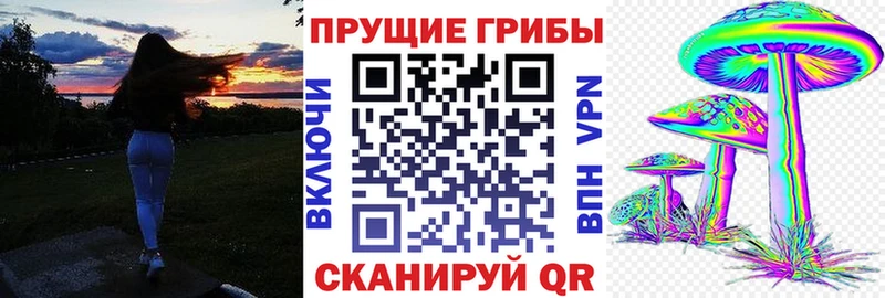 Псилоцибиновые грибы Cubensis  Купить  Славск 